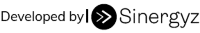 sinergyz logo